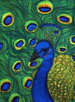 Art Quilt, Peacock II, Bara Bartosova, web