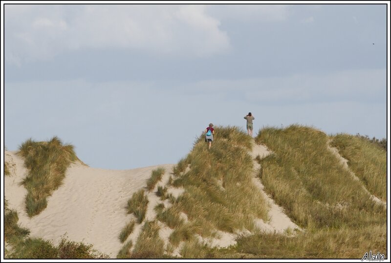 il y a des dunes aussi