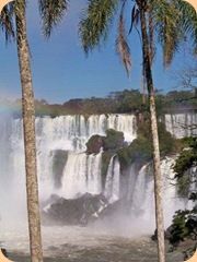 Iguazu, les chutes (26)