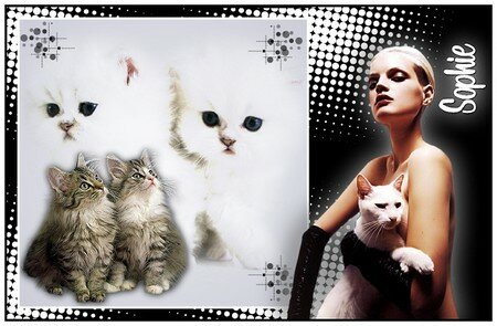 tag_s_glamour_animals