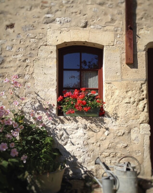 Le Clos de la Tourelle - Gîte en Champagne - Fenêtre sur jardin près du puit