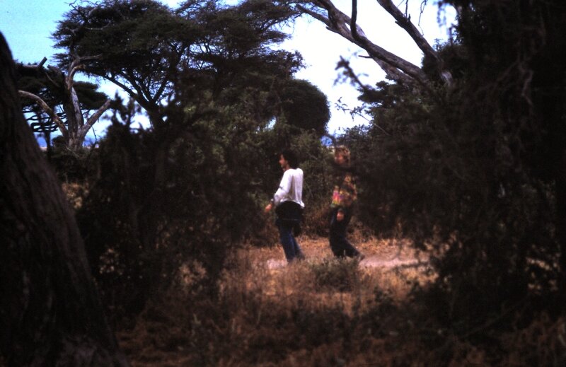 amboseli william christophe b