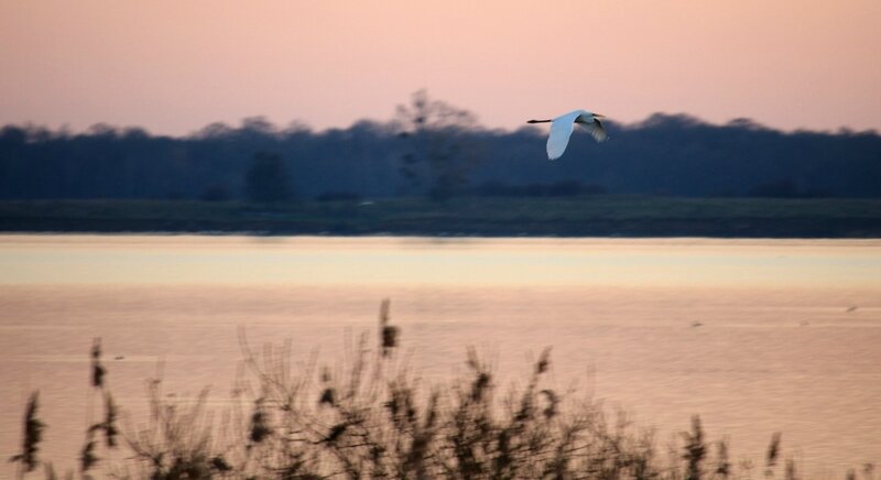 IMG_5182 - Copie