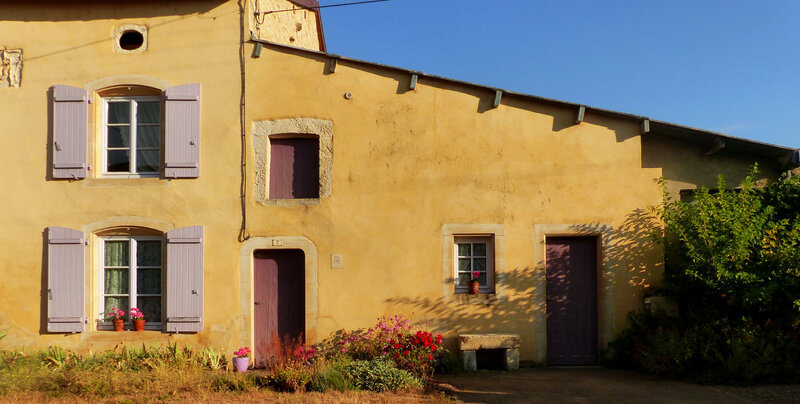 P1550386