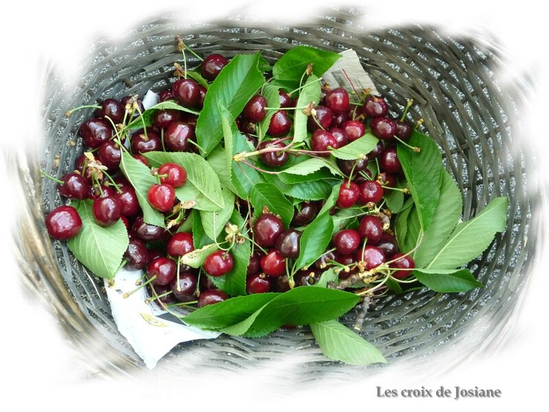 99 - Le temps des cerises 6