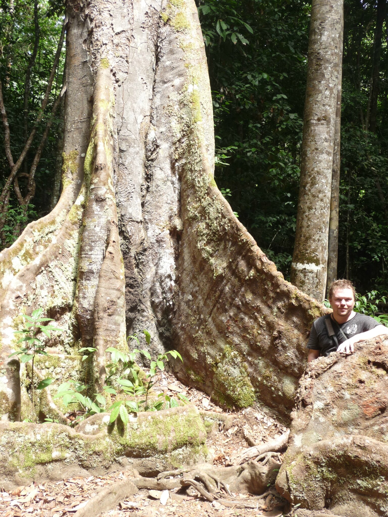 Kourou - Montagne des singes