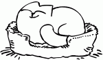 simon-s-cat