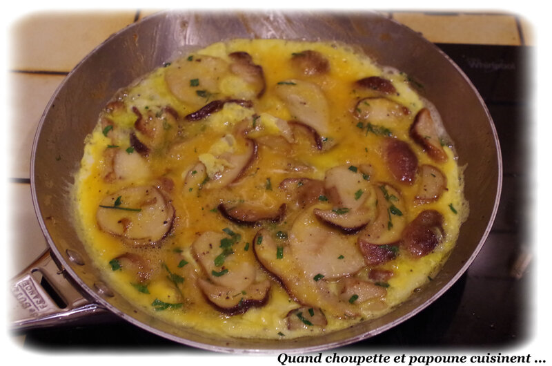 omelette aux cépes frais-717
