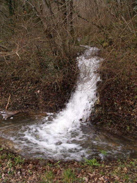 DSCF0035