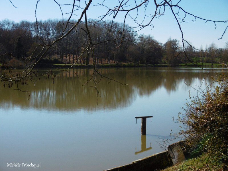 Lac du Houga 150219