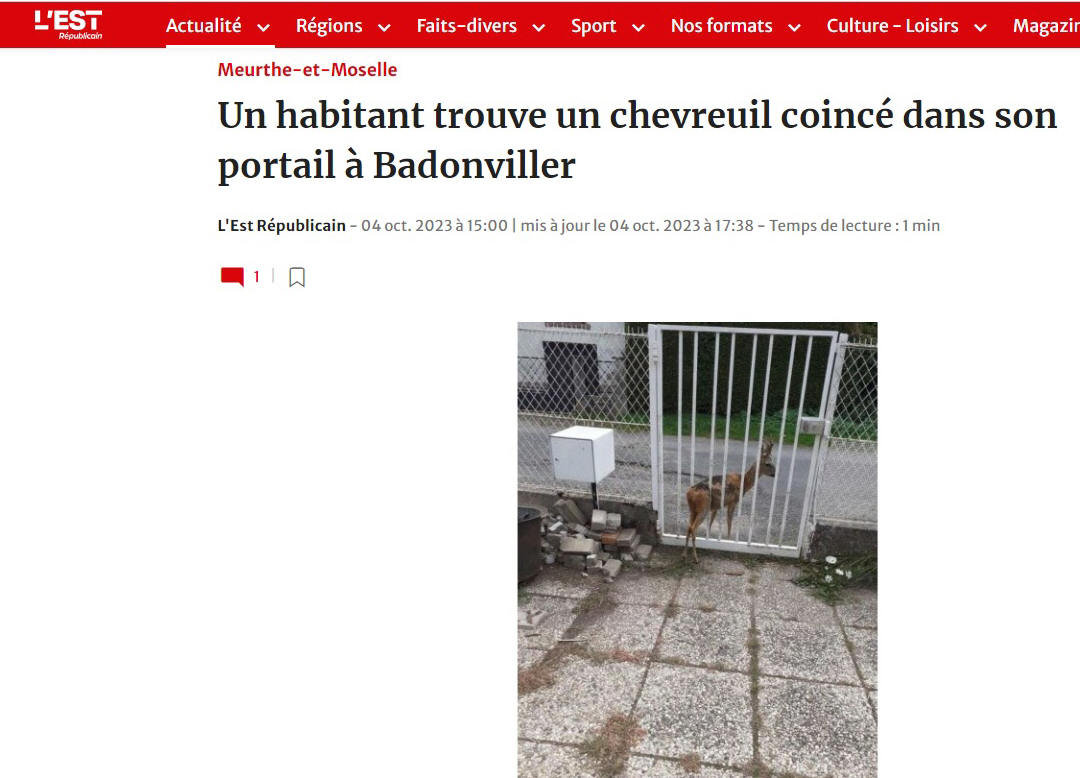 La chasse est fermée
