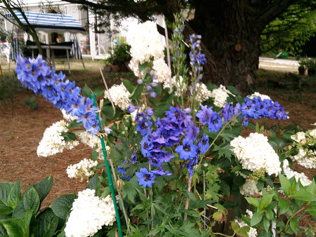 Photo0173
