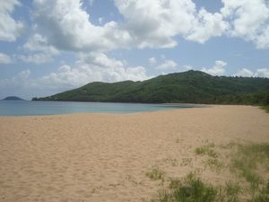 Plage_Grande_Anse_090524__6_