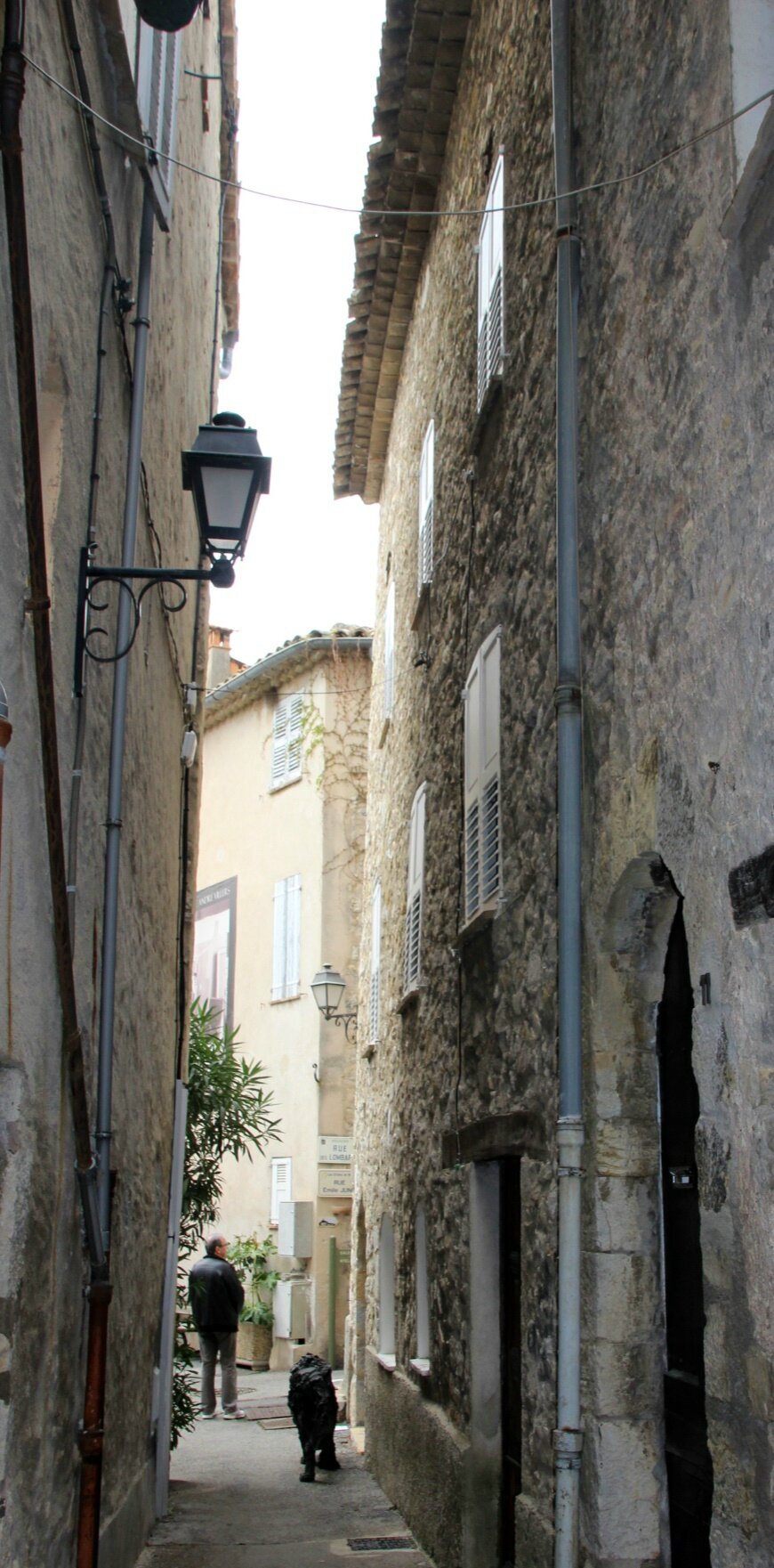 IMG_6420 - Copie