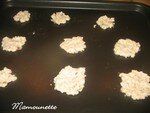 Biscuits_ap_ro_au_comt__et_aux_noisettes_007