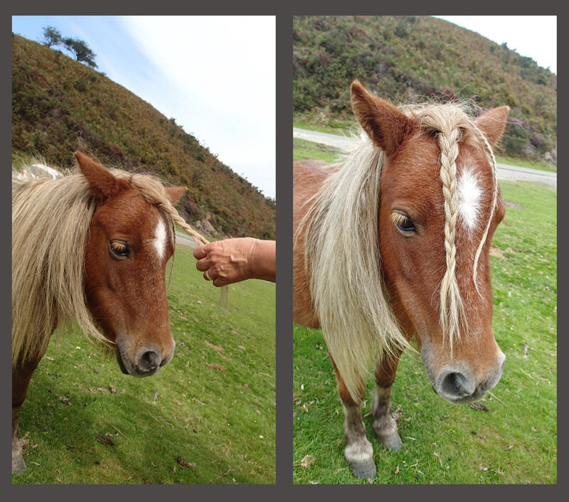 Coiffure à domicile 1