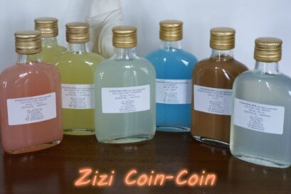 zizi coin coin