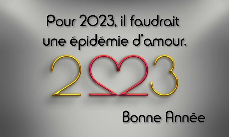 pour-2023-il-faudrait-une-epidemie-damour