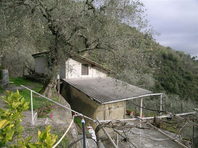 Dolceacqua Rosa 019