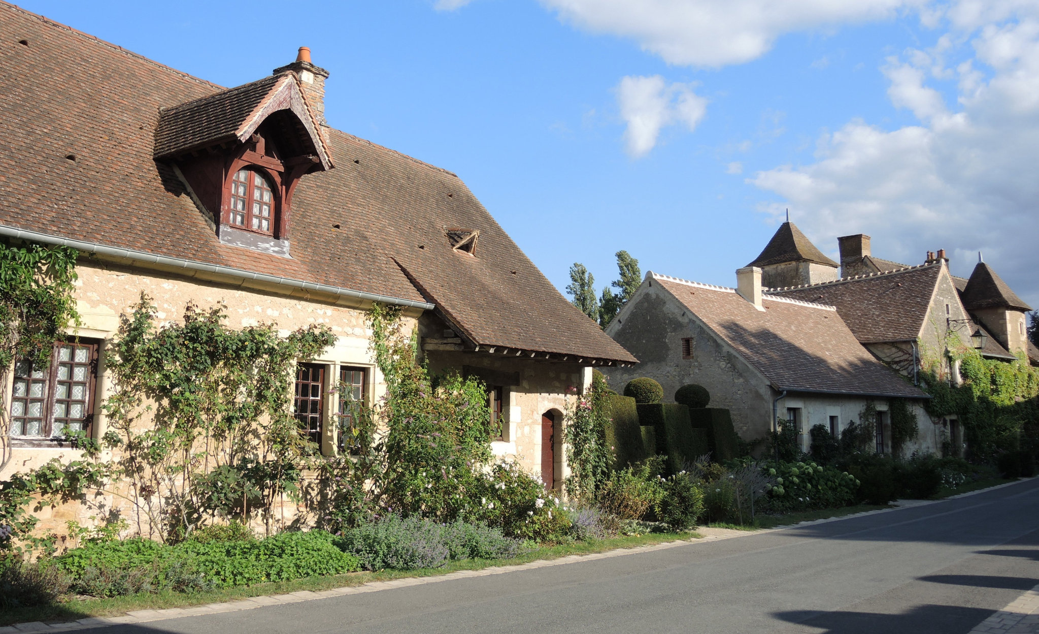 Apremont-sur-Allier, rue maisons(18)