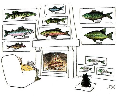 Poissons__640x480_