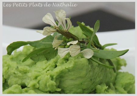 purée pesto5