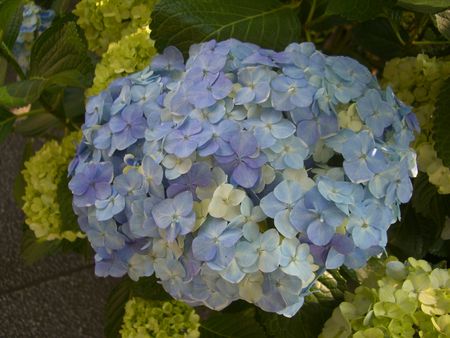japon_2007_543
