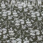 capel vert olive
