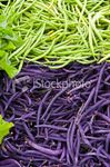 stock-photo-17571930-green-and-purple-beans