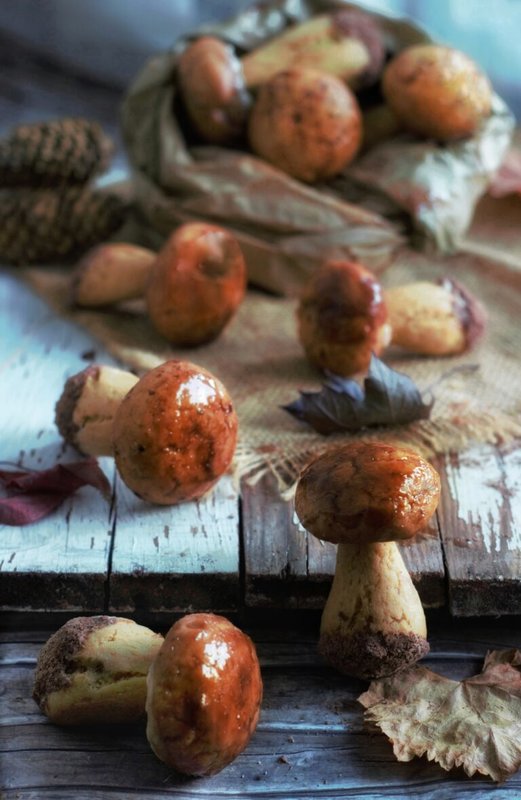 recipe_mushroom_cookies