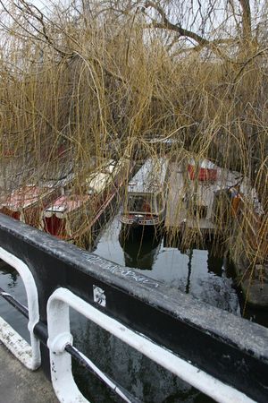 IMG_8835