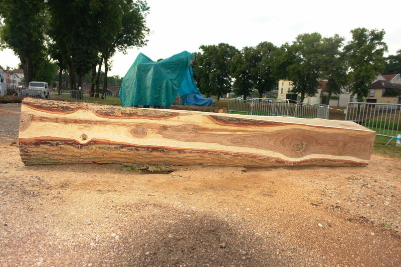 dsc7073