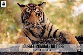 WWF France 🐼 on Twitter: "La Journée Mondiale du Tigre est le 29 juillet http://t.co/s8GoVrChMI #DoubleTigers http://t.co/jHnOzSPjWX"
