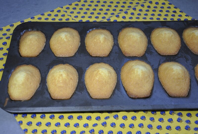 Madeleines moule