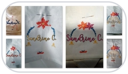 sandrine c_saljanv23_col2