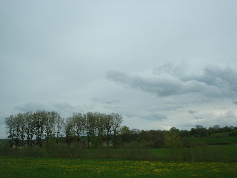 DSC06574