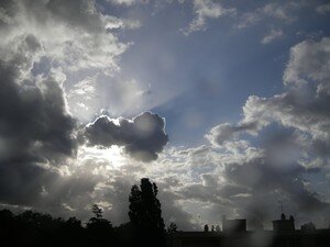 IMGP1849
