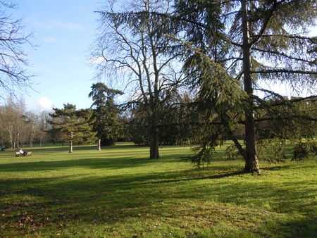 Parc Bois Préau