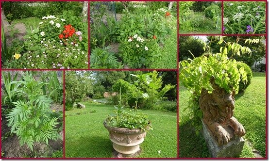 jardin 20 juin 20206