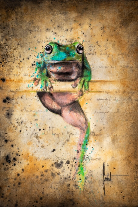sandrot-frog1