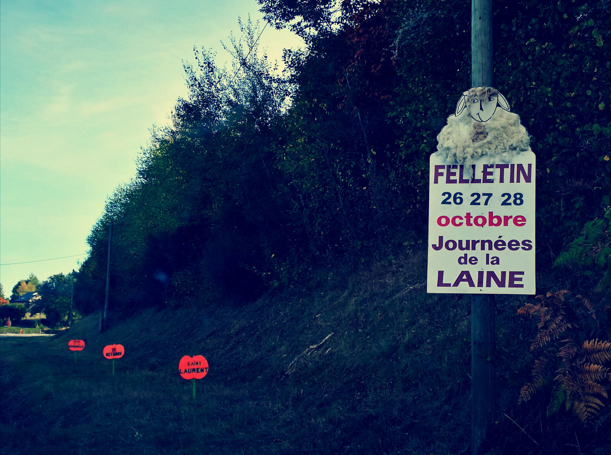 Felletin, évènement laine (23)
