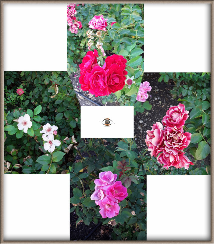 Rose photomerge