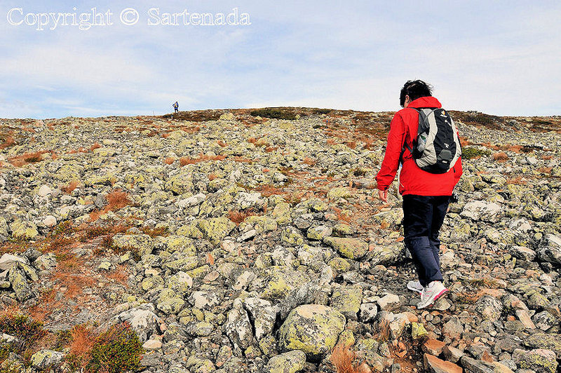 Palkaskero_Fell_Lapland_ (16)