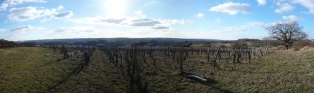 pano_Th_s_e_Ricard