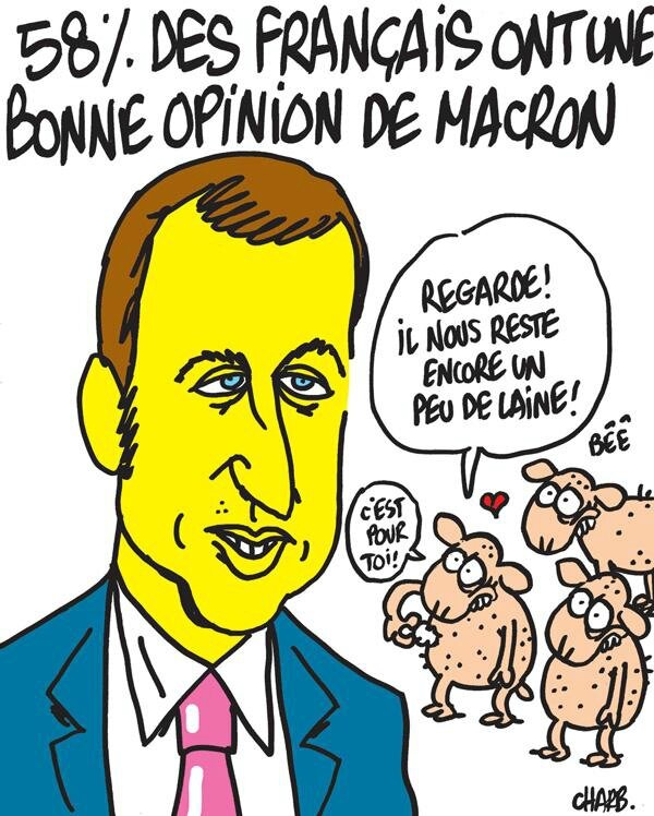 macron-charlie-hebdo-caricature