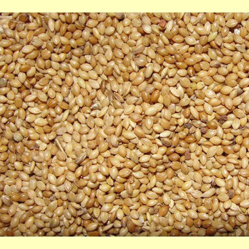 Millet 1 blanc