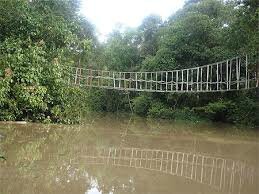 un pont de singe sur le Tescou au jardin des Plantes de Montauban ?
