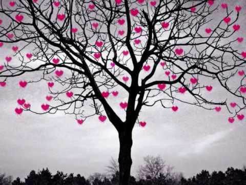 ARBRE AUX COEURS_n