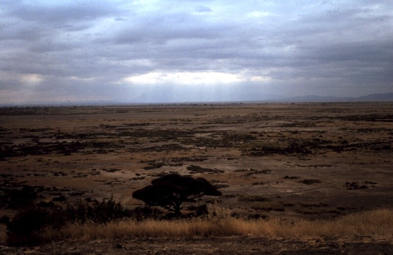 amboseli paysage a
