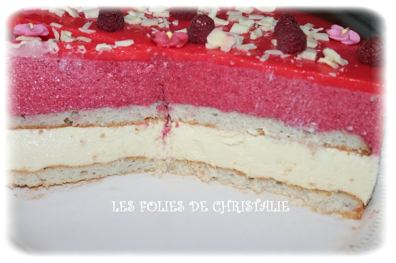 Bavarois choc framboises 28